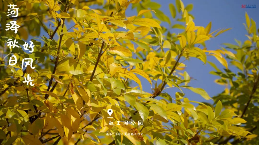 97c3d701b3b38bc90152f608c90f1b7f_640_wx_fmt=jpeg&wxfrom=5&wx_lazy=1&wx_co=1.jpg 97c3d701b3b38bc90152f608c90f1b7f_640_wx_fmt=jpeg&wxfrom=5&wx_lazy=1&wx_co=1.jpg